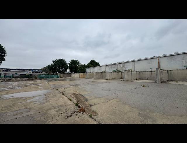 1,000M² WAREHOUSE TO LET IN WYNBERG